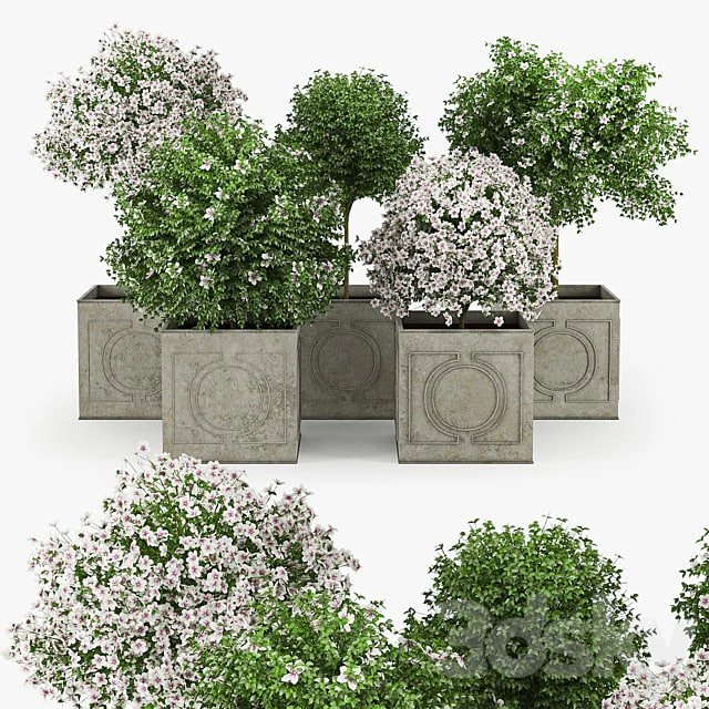 Flowers 3D Model .c4d .max .obj .3ds .fbx .stl .blend 