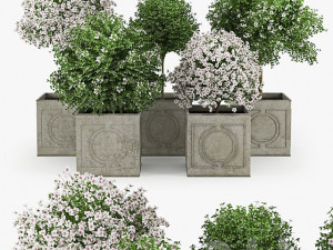 Flowers 3D मॉडल