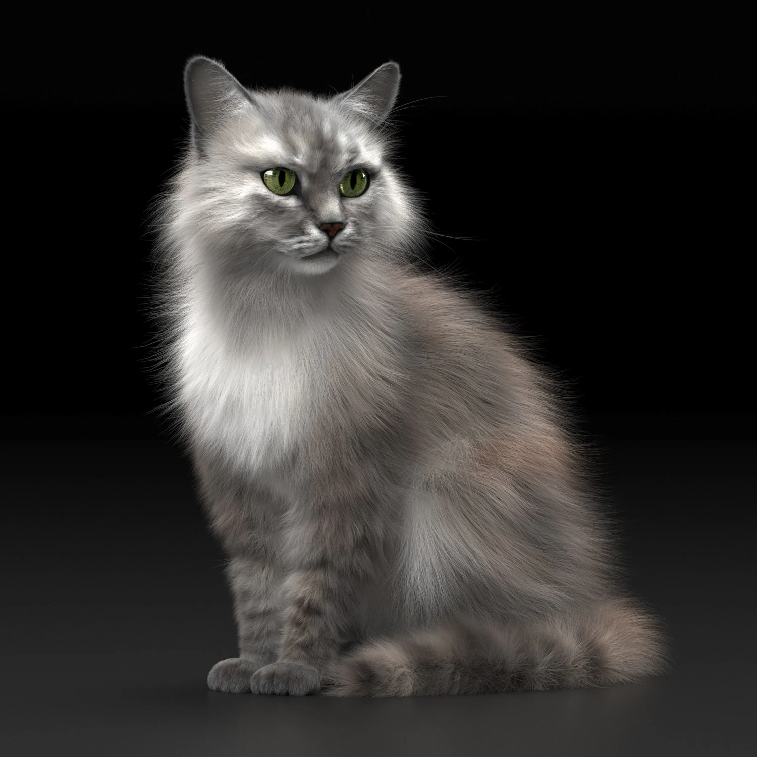 Kat 3D Model .c4d .max .obj .3ds .fbx .stl .blend 