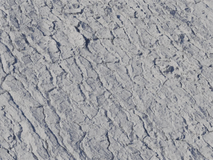 Pine Bark Textures CG टेक्स्चर्स