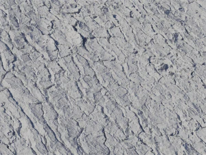 Pine Bark Textures CG Textures