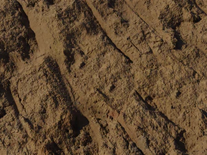 Excavated Soil Wall Textures CG Textures