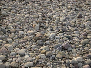 Ganges River Pebbles Texture CG Textures