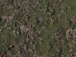 Coast Sand Rocks Texture Texturas CG