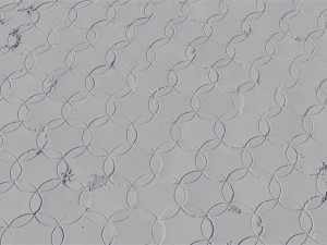 Worn Patterned Pavers Texture CG Текстури