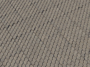 Patterned Concrete Pavers Texture CG टेक्स्चर्स