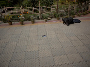 Patterned Concrete Pavers Texture CG टेक्स्चर्स
