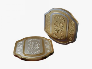 Metallic Coins Pack06 3D Model