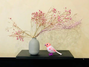 TV accessory mount 3D Print Model