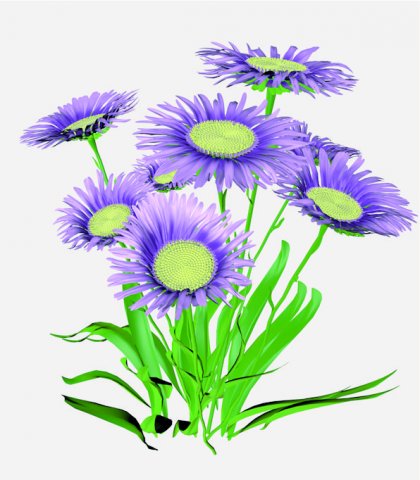 Aster alpinus 3D Модель .c4d .max .obj .3ds .fbx .stl .blend 