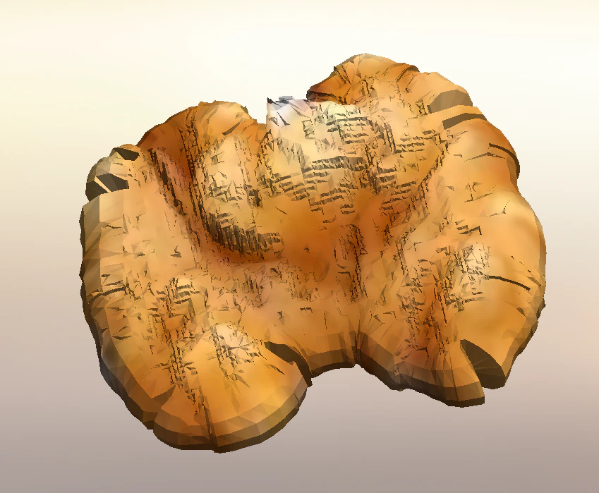 Walnut 3D Model .c4d .max .obj .3ds .fbx .stl .blend