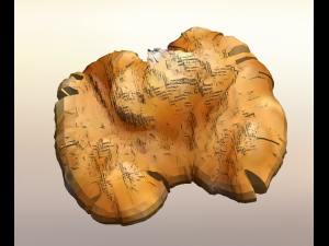 Walnut 3D 模型