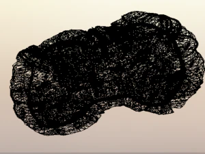 Walnut 3D Model