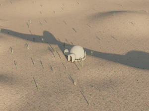 Desert 3D Model