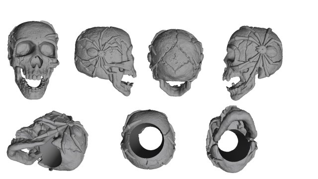 Skull with spiders 3D 모델 .c4d .max .obj .3ds .fbx .stl .blend 
