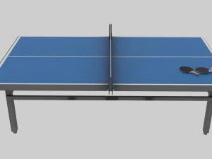 Pin Pong 3D Model
