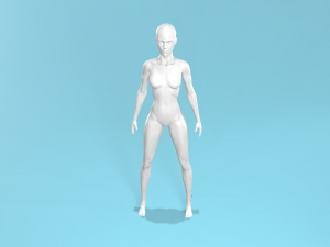 Thefemalebody Model 3D