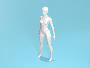 Thefemalebody Model 3D