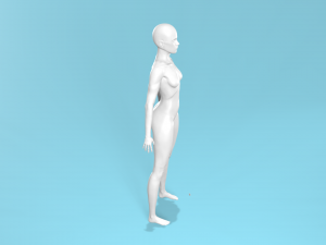 Thefemalebody Model 3D