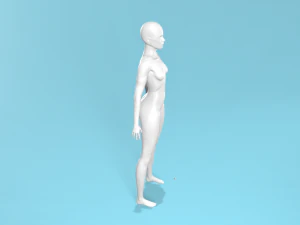 Kadın bedeni 3D Model