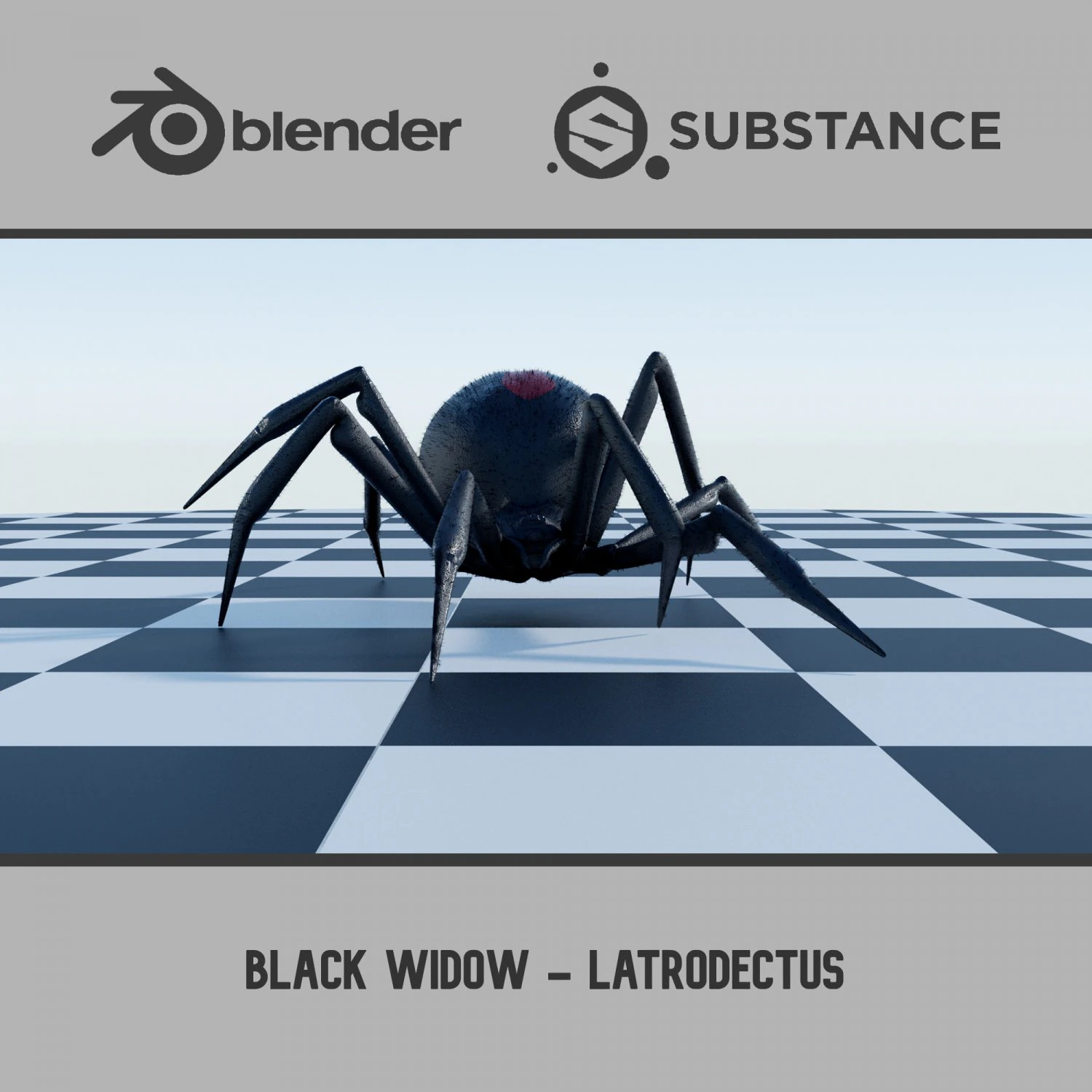 Black Widow - Latrodectus - Walk Cycle 3D Model .c4d .max .obj .3ds .fbx .stl .blend 