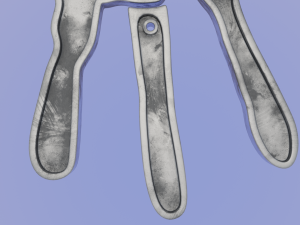 Hand with Separate Fingers - Printable Pendants 3D Print Model