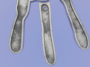 Hand with Separate Fingers - Printable Pendants 3D Print Model