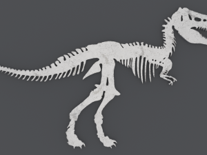 Dinosaur Skeleton - Printable 3D 프린트 모델