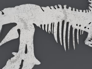 Dinosaur Skeleton - Printable 3D 프린트 모델