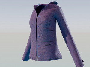 Button Jacket Model 3D