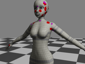 Female Body - Topology 3D Model