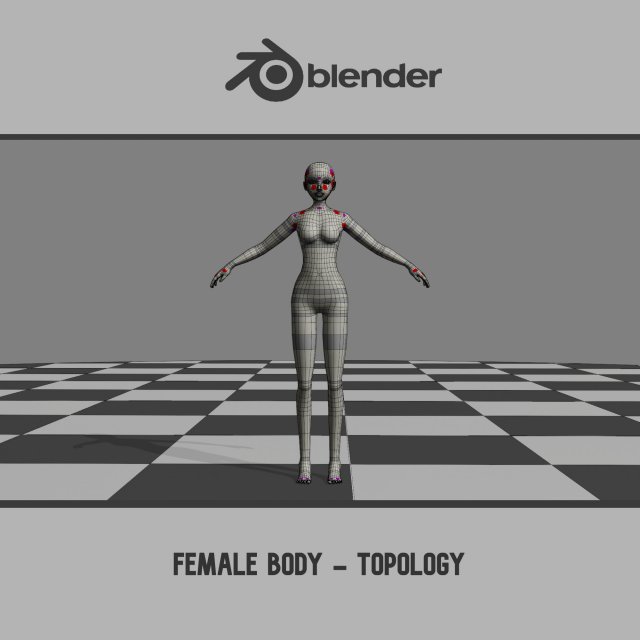 Female Body - Topology 3D Model .c4d .max .obj .3ds .fbx .lwo .lw .lws
