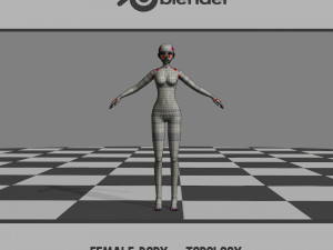 Female Body - Topology 3D Model