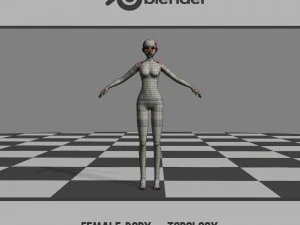 Corpo Feminino - Topologia Modelo 3D