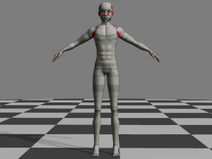 Male Body - Topology 3D Model