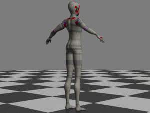 Male Body - Topology Modèle 3D