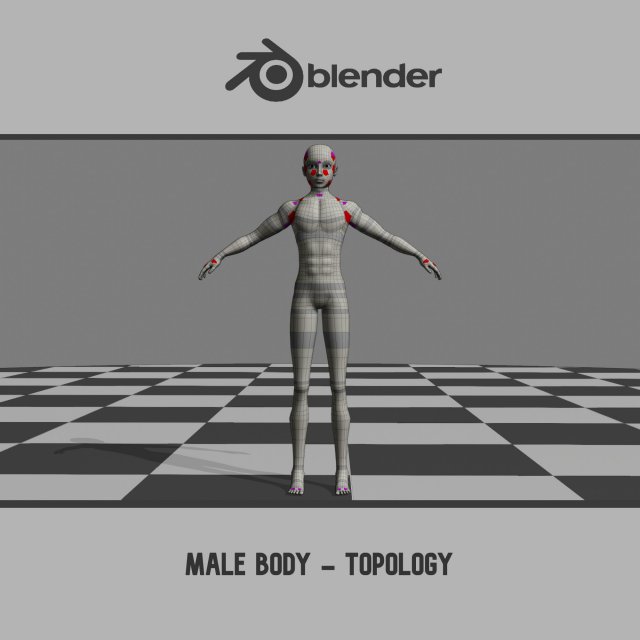 Male Body - Topology 3D Model .c4d .max .obj .3ds .fbx .lwo .lw .lws