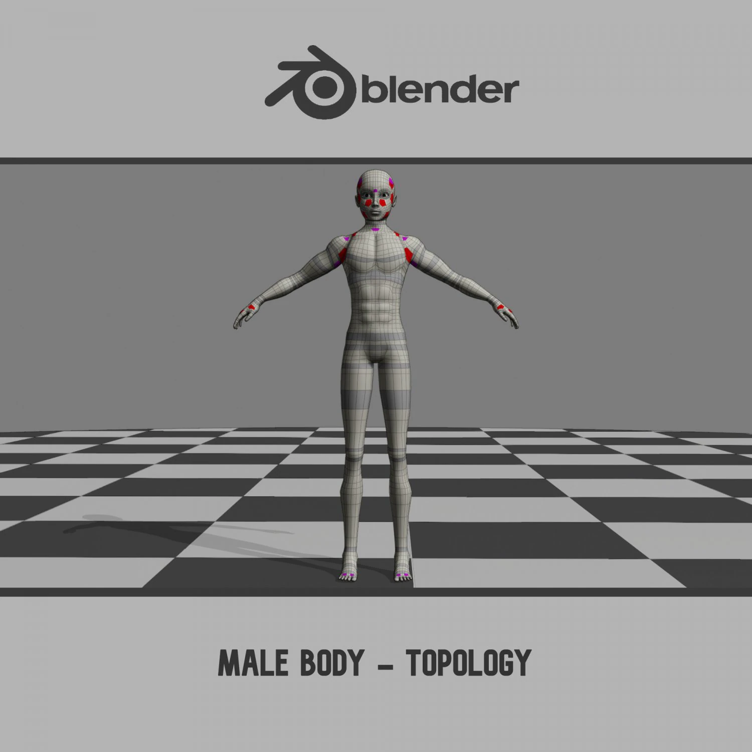 Male Body - Topology 3D Model .c4d .max .obj .3ds .fbx .stl .blend 