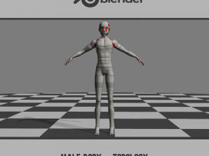 Male Body - Topology 3D Model