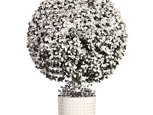 Boxwood Ball TopiaryGreen 3D Model