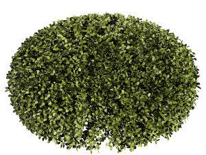Artificial Boxwood Half Ball Modèle 3D