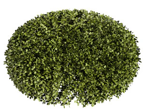 Meia bola de buxo artificial Modelo 3D