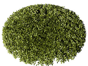 Artificial Boxwood Half Ball 3Dモデル