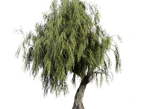 Conjunto Salgueiro Chor&atilde;o Modelo 3D