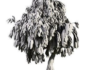 Weeping Willow-Tree Set 3D Model