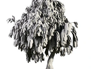 Weeping Willow-Tree Set 3D Model