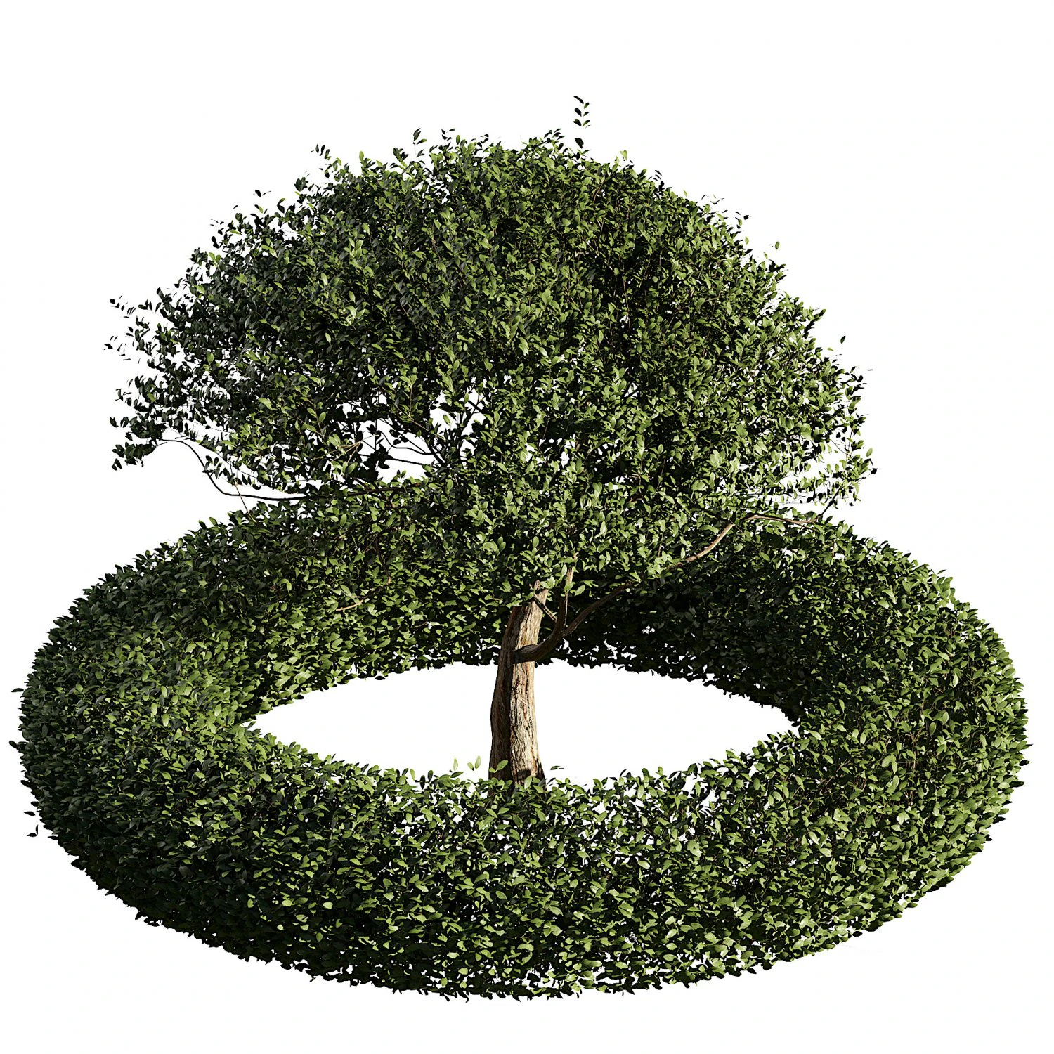 Landscaping and Hardscaping 3D Model .c4d .max .obj .3ds .fbx .stl .blend
