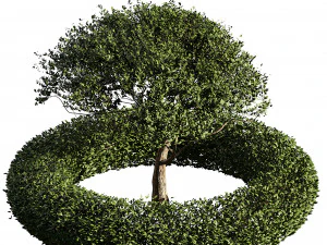 景观美化和硬质景观 3D 模型