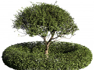 Landscaping and Hardscaping 3D Модель