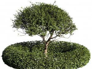 Landscaping and Hardscaping 3D Model